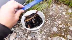 Краснодар-Карелия  Рыбалка 2024г. Татары3.Лай.Каряжное.Товлаярви.