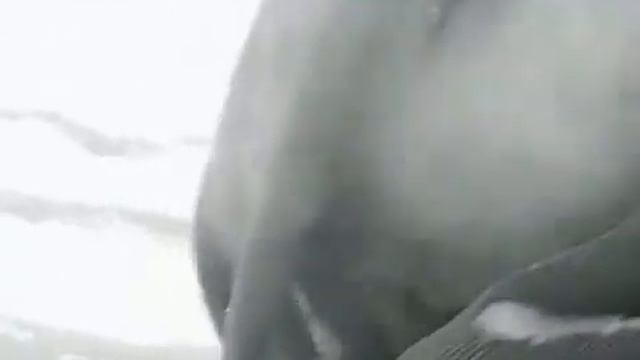 George Zvyagin, Shalom Aleyhem смотреть онлайн