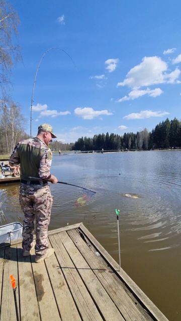 Поимка карпа смотреть онлайн
