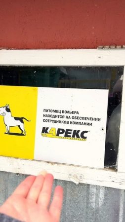 Мало кто знает этот способ сделать благотворительность еще более эффективной💔