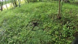 ❇️ БРОЖДЕНИЯ В ПОИСКАХ МЕТАЛЛА С МД — ЛОГИЧНЫЙ ИТОГ С ДЕРЕВЕНСКОЙ ОКРУГИ!!!