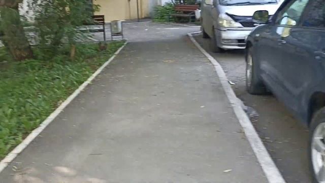 29.06.24. Видео за три дня