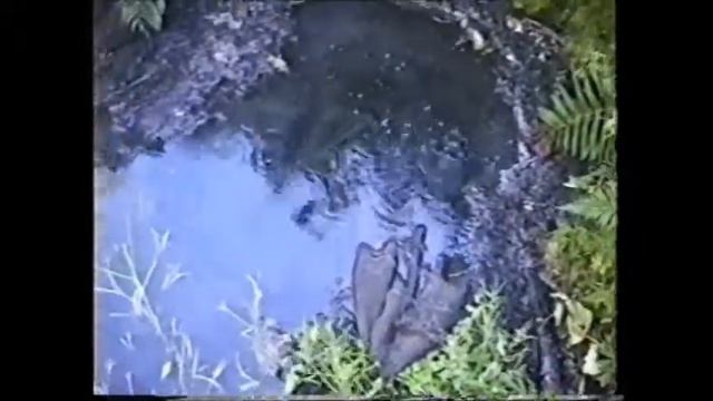 Grizzly hunting end Kamchatka Sept97 смотреть онлайн