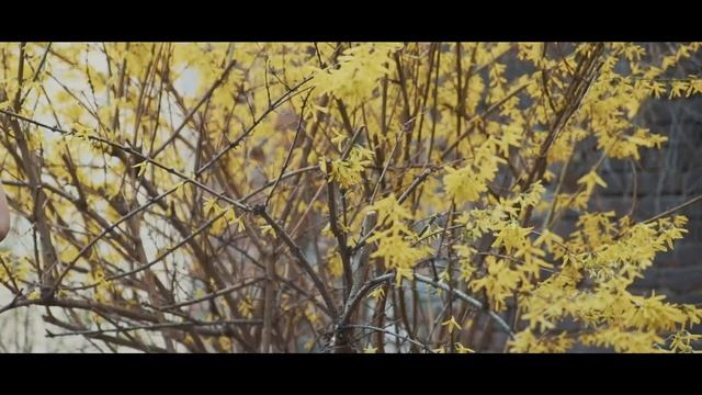 Максим и Алена 21 апреля 2018