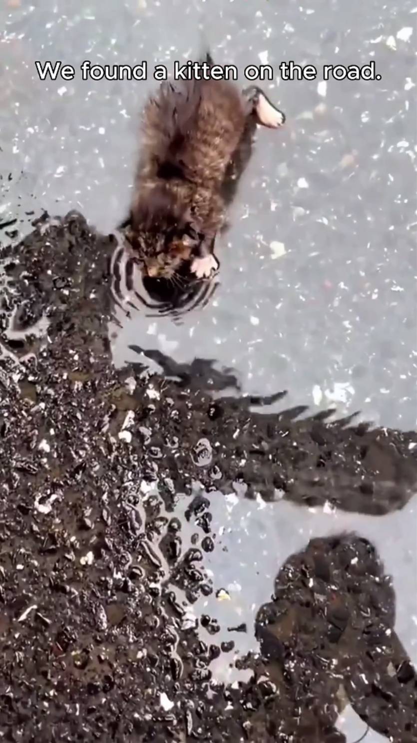 Мир не безнадежен ! 5 смотреть онлайн