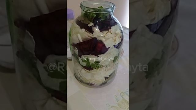 Рецептик маринованной капусты со свеклой 🥬🫙 смотреть онлайн