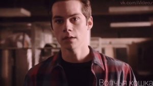 Дерек и Стайлз || Стерек || Нечаянная связь || Sterek || Derek & Stiles