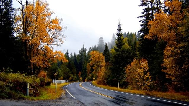 #Владимир# Высоцкий# Письмо из деревни в город смотреть онлайн