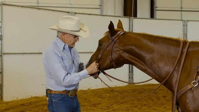 Slot Ears, Slide Ears & Browbands-Proper Headstall Fit смотреть онлайн