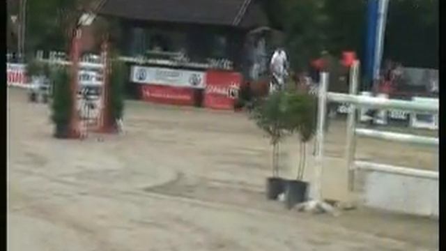 2012 08 Stadtlohn Johannes Jewel's Carat 0 Stechen 0 Fehler Sieg смотреть онлайн