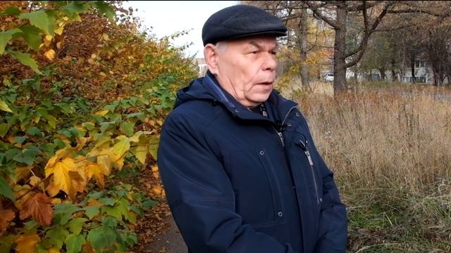 Улица Светлая в Народной программе смотреть онлайн