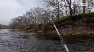 Сибирский лов. Выпуск 74