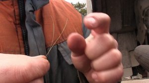 Исузу Форвард засорилась сеточка топливного насоса низкого давления.