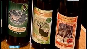 Программа Вести-Алтай. Видеосюжет Ставка на панты