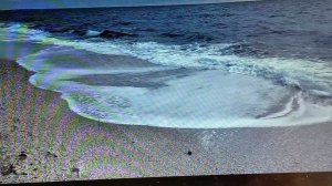 БЕСПЛАТНО! Курс по реализации мечт. урок 10,2.