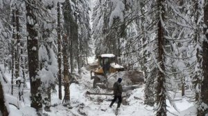 Строим зимник в делянки