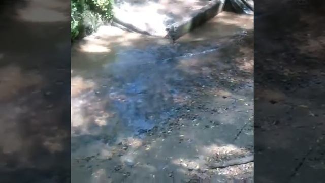 Чертановка, Битцевский лес смотреть онлайн