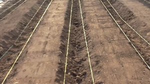 Раскладка набора Клубничная грядка КГ-10Б