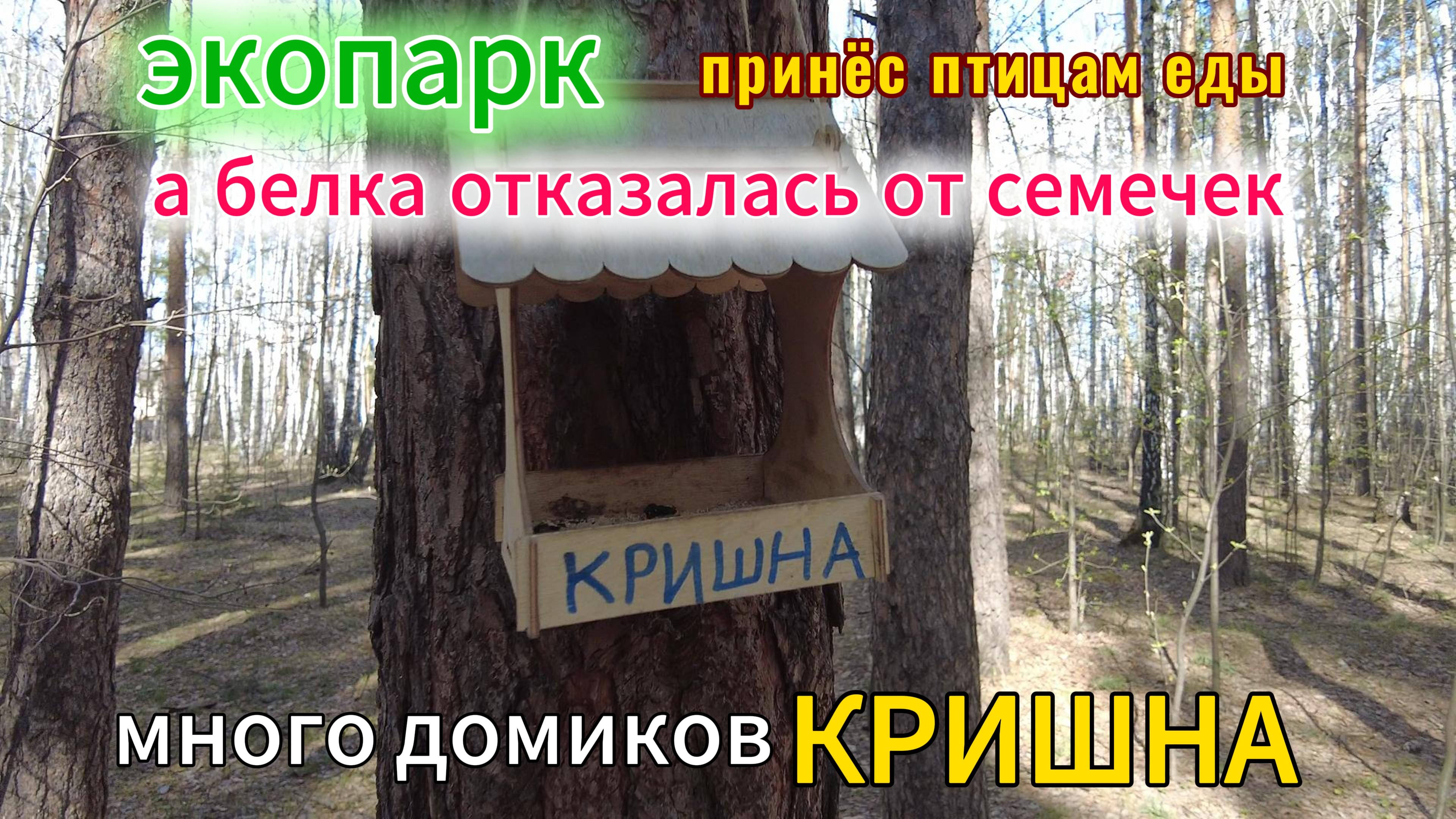 Домики Кришны в Экопарке 22 апреля 2025 г