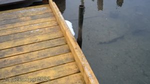 Понтонный мостик в парке Зверинец.