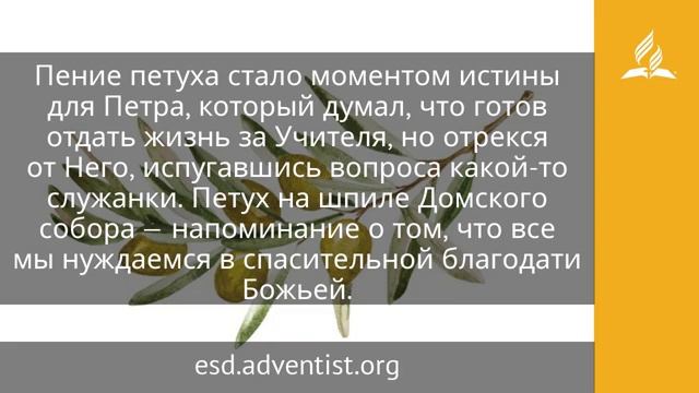 23 апреля 2025 И вдруг запел петух. Под сенью благодати Адвентисты