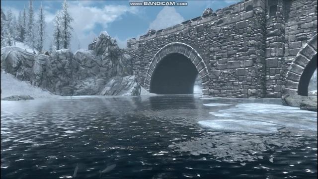 Skyrim полярный хариус для Винтерхолда