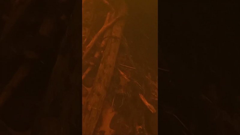 Ищем блёсна под водой #fishing