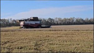 Литейный завод БЕЛКАСТ