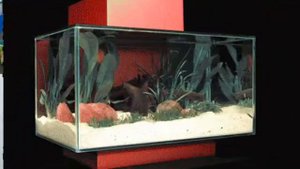 HAGEN Fluval EDGE - Аквариумный нано-комплект
