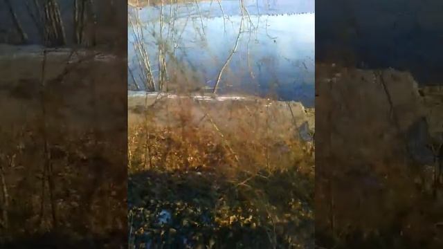 Орда уток. смотреть онлайн