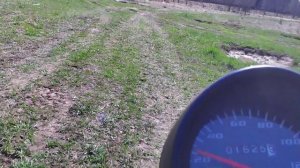 Альфа звёзды 17-36 тестирование