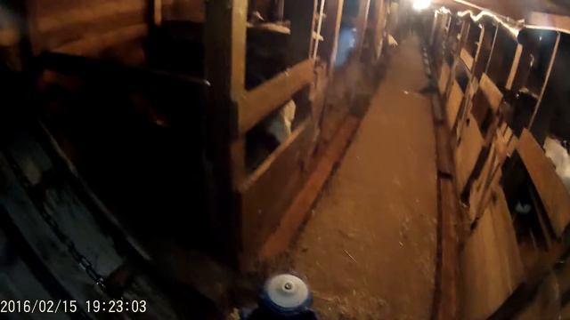 Удаления навоза смотреть онлайн