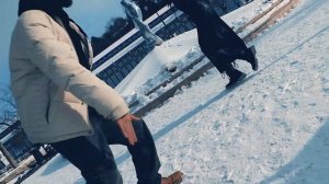 MASTA SAN (Live) / Создателям рэп музыки /