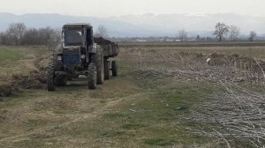 Полевые работы с Т40 и Беларус 892 ( t 40 və mtz 892)