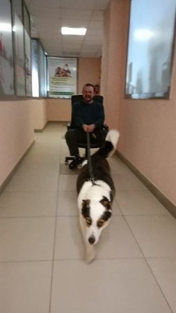 обычный рабочий день