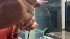 Засол Марисоль-риф. Определяем ключевые параметры воды.