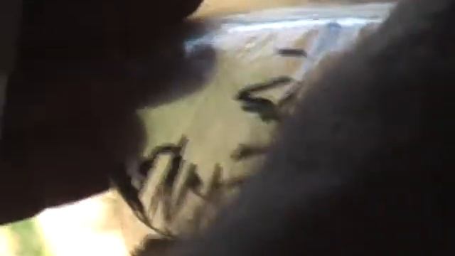 BONUS: Landscape Design Questions 2009 (3 of 3) смотреть онлайн