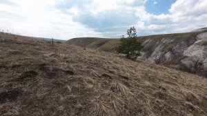 DJI AVATA 2 - Надя-цветок-сурки