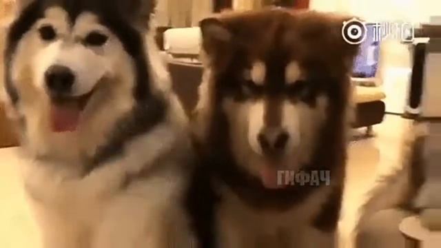 Время и стекло тролль смотреть онлайн