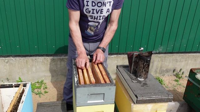 шестирамочники с гнездом на 145 рамку. перевод с 300 на 145 смотреть онлайн