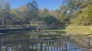 Парк. В сентябре. Город Партизанск. Приморье.