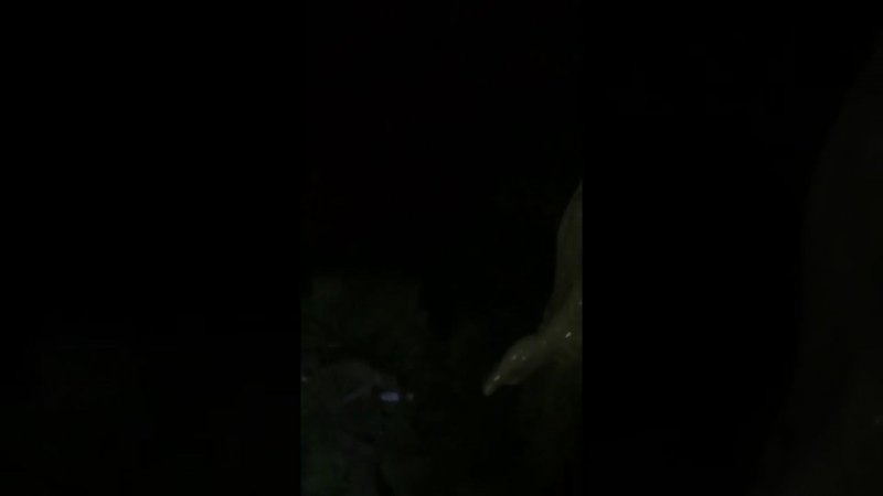 Хорошо отметил день рождения..)