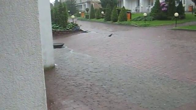 Ulewa w Panoramie Morskiej Jarosławiec 2010 смотреть онлайн