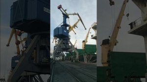 Выгрузка Четырех Трюмного Парахода Портальным Краном Сокол . Род груза уголь . Грейферный Режим