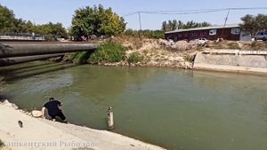 Baliq ovi 2023. Toshkentda Marinka ovi. Рыбалка в Ташкенте. Маринка на опарыш водянка.