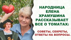 Хотите вырастить самые вкусные в мире томаты? Смотрите видео. Мичурин-томаты, Елена Храмушина