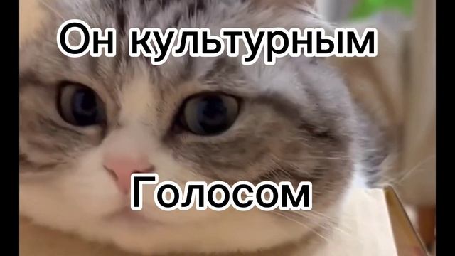 очень старался❤️🔥Культурный кот| Нежное это смотреть онлайн
