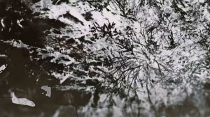 Лучший ОТРЯД из двух человек | RED DEAD ONLINE