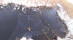 Карася стало больше. Рыба начинает задыхаться. Рыбалка на паук подъемник.