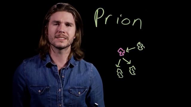 Should You Eat BRAINS? | Because Science смотреть онлайн